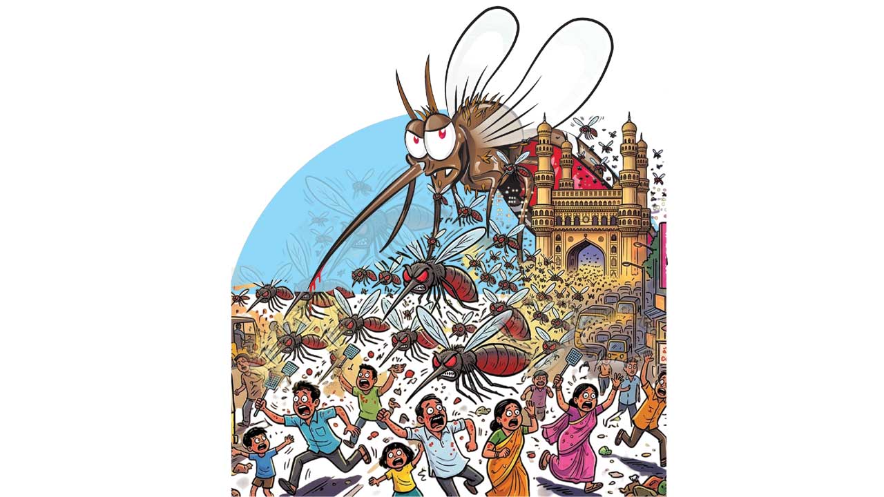 బాబోయ్‌.. దోమలు