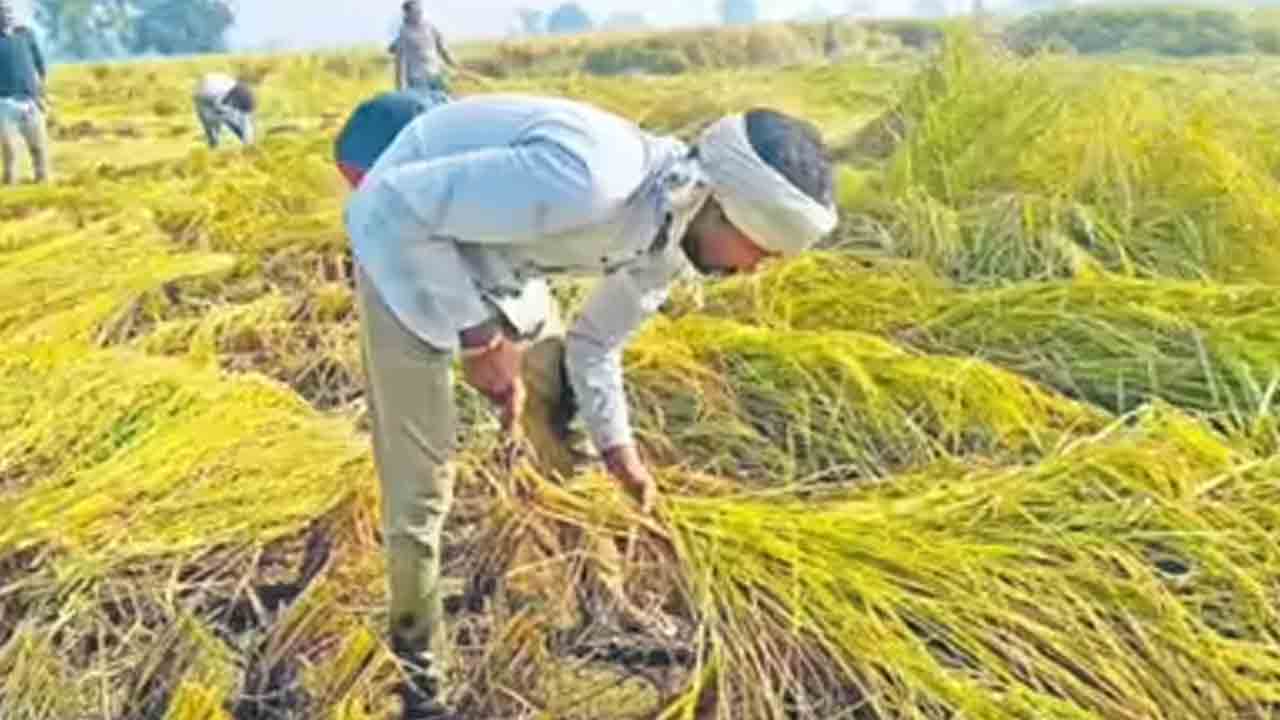 నేటి నుంచి రైతు ముంగిట్లో శాస్త్రవేత్తలు.. మే 23 వరకు నిర్వహణ