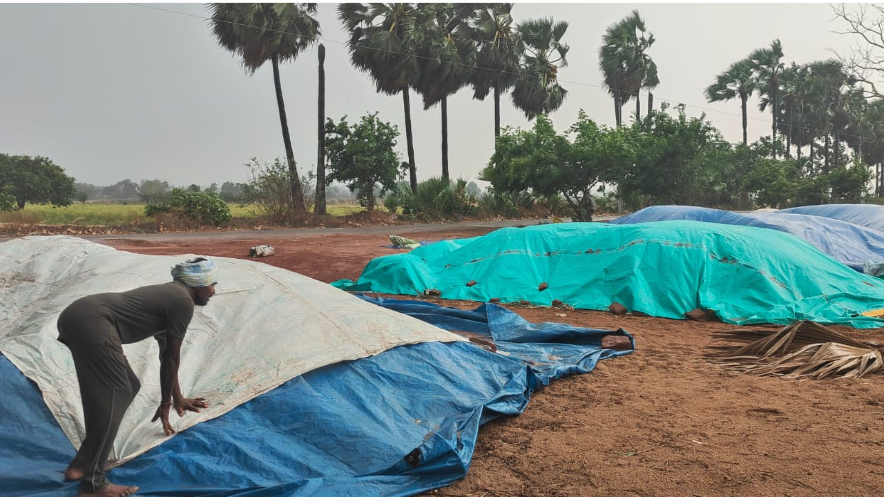 Mulugu | ములుగు జిల్లాలో ఈదురుగాలులతో వర్షం..కొనుగోలు కేంద్రాల్లో తడిసిన ధాన్యం