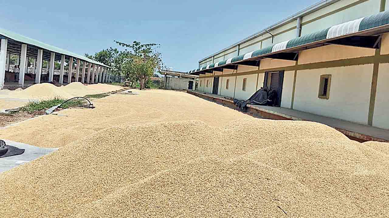 పక్షం రోజులైనా కాంటా పెడ్తలే.. మంత్రి పొన్నం ఇలాకాలో రైతుల అవస్థ