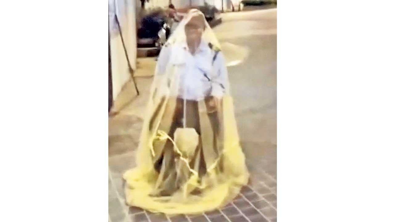 ఉక్కపోత.. దోమల మోత