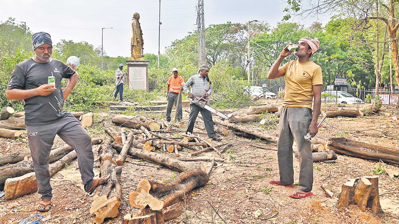 హరిత హననం