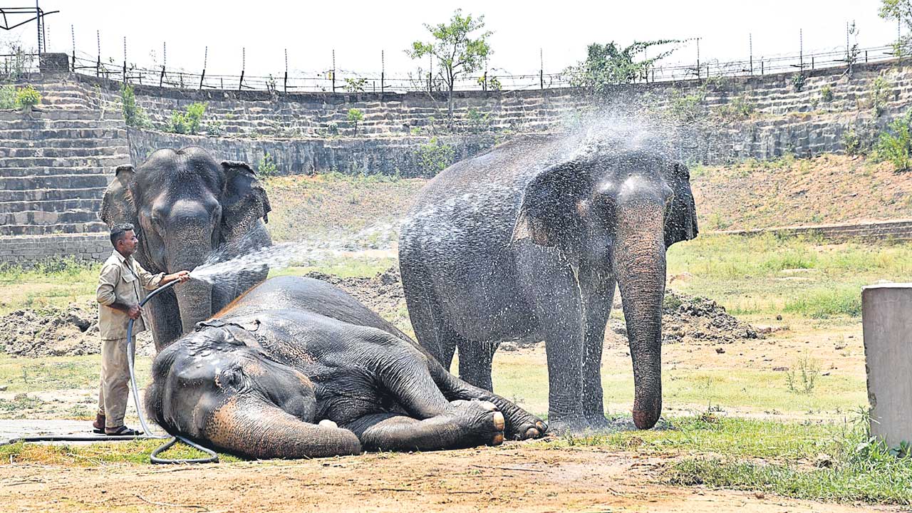 వేసవిలో..చల్లచల్లగా
