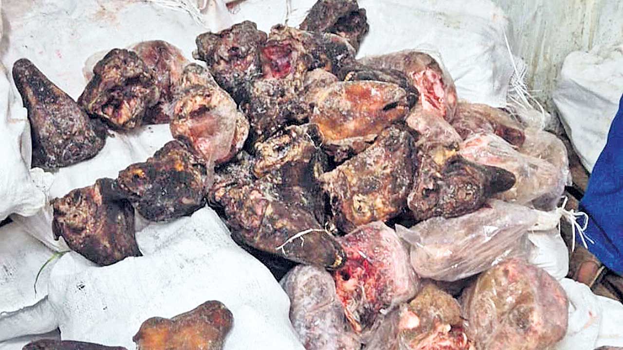 సిటీలో కుళ్లిన మాంసం దందా!