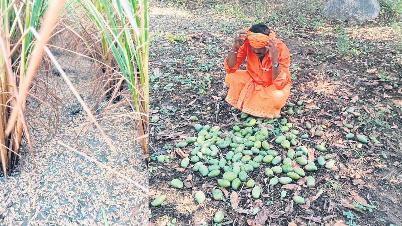 రైతన్నకు కడగండ్లు