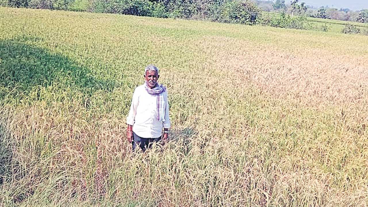 నీళ్లు రావు.. కన్నీళ్లు ఆగవు