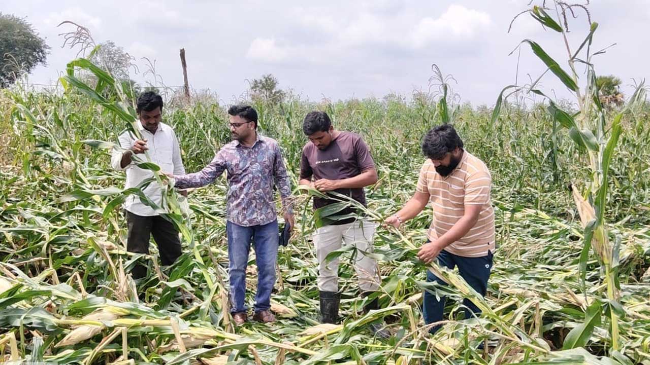 ఇవ్వాల్సింది రూ.355 కోట్లు ఇచ్చింది రూ.98 కోట్లు
