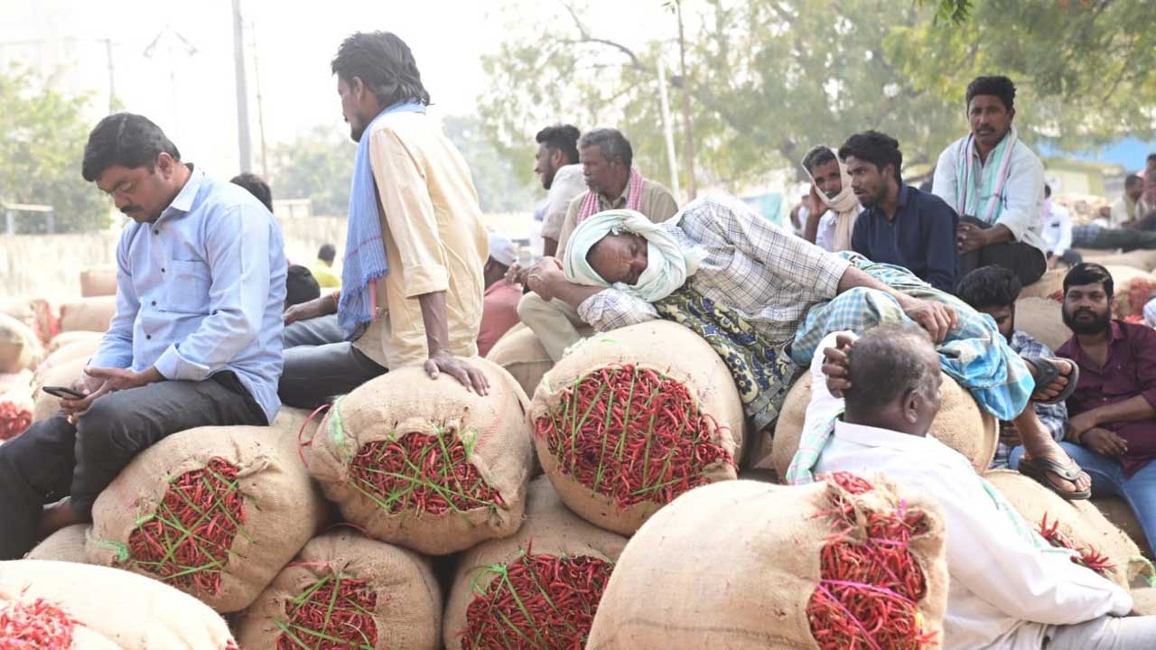 ఖమ్మంలో తగ్గిన మిర్చి ధర