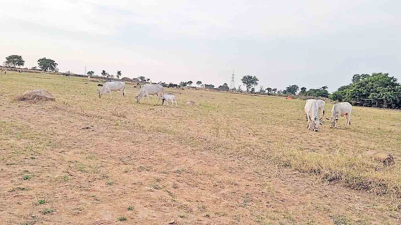 సర్కార్‌ చెలగాటం..రైతుకు భూ సంకటం