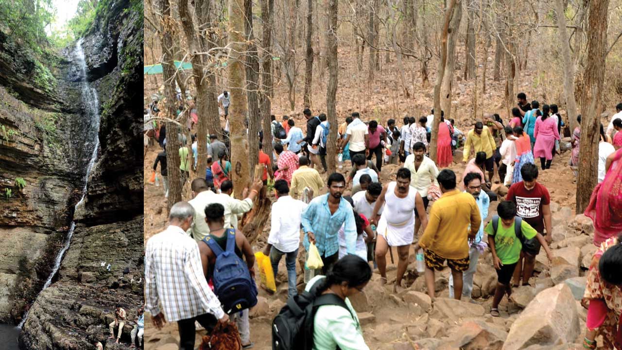 వస్తున్నాం.. లింగమయ్య..