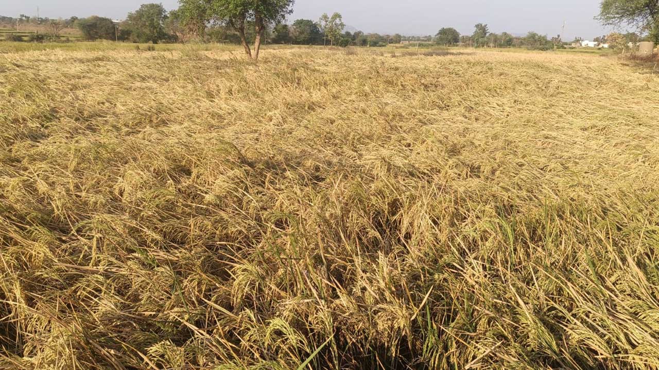 లిఫ్ట్‌ ప్లీజ్‌..