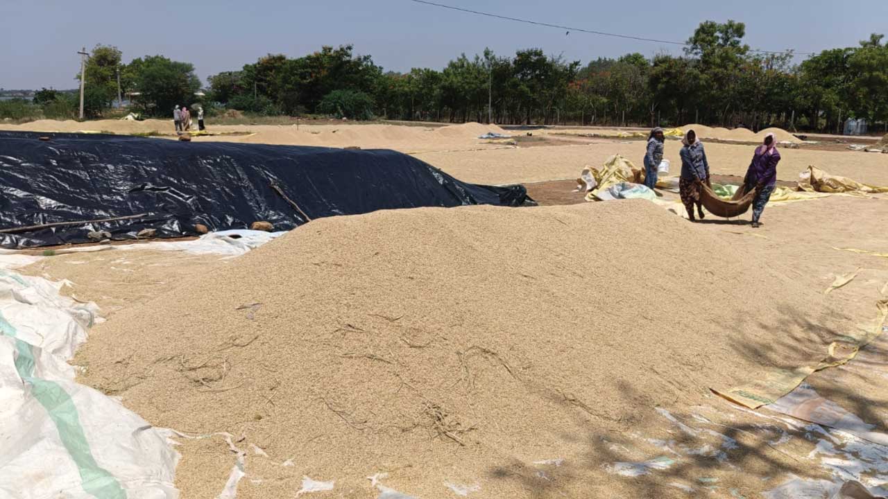 కొనుగోడుకు ప్రాధాన్యం ఏదీ!