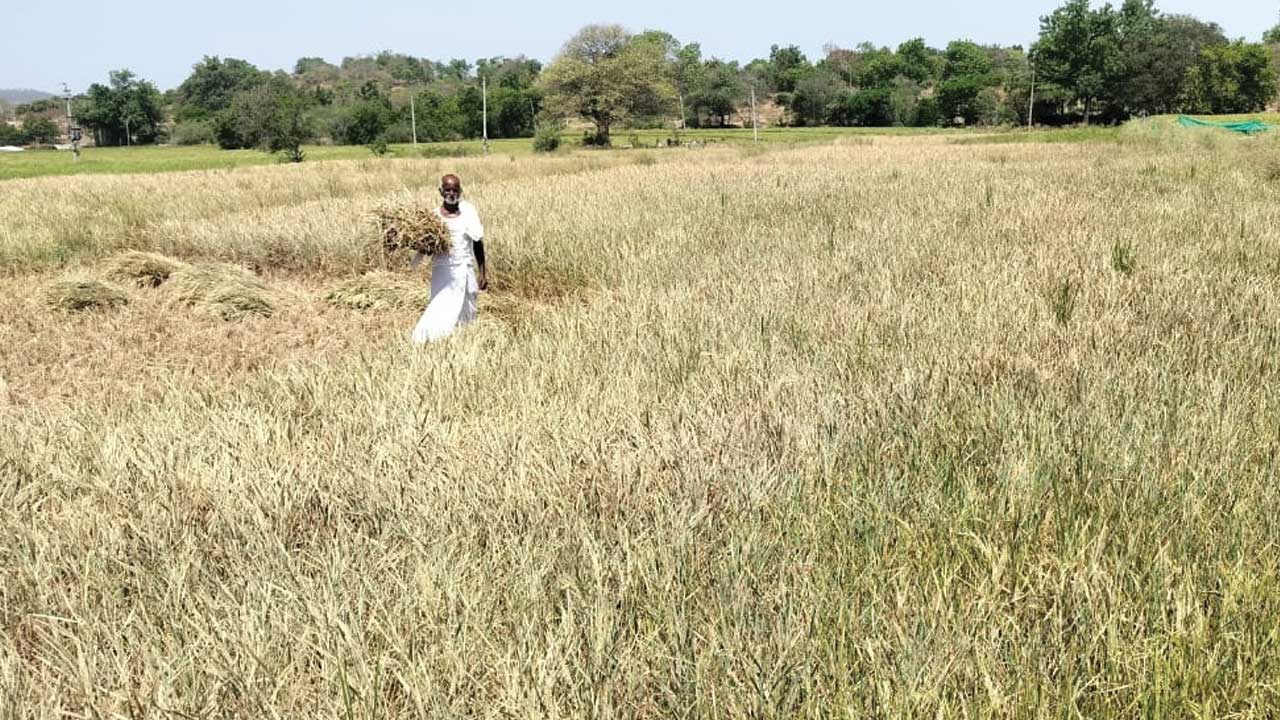 ఆశలు ఆవిరి..