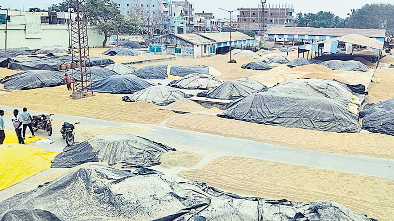 కాంటా వేస్తలేరు.. వడ్లు కొంటలేరు..