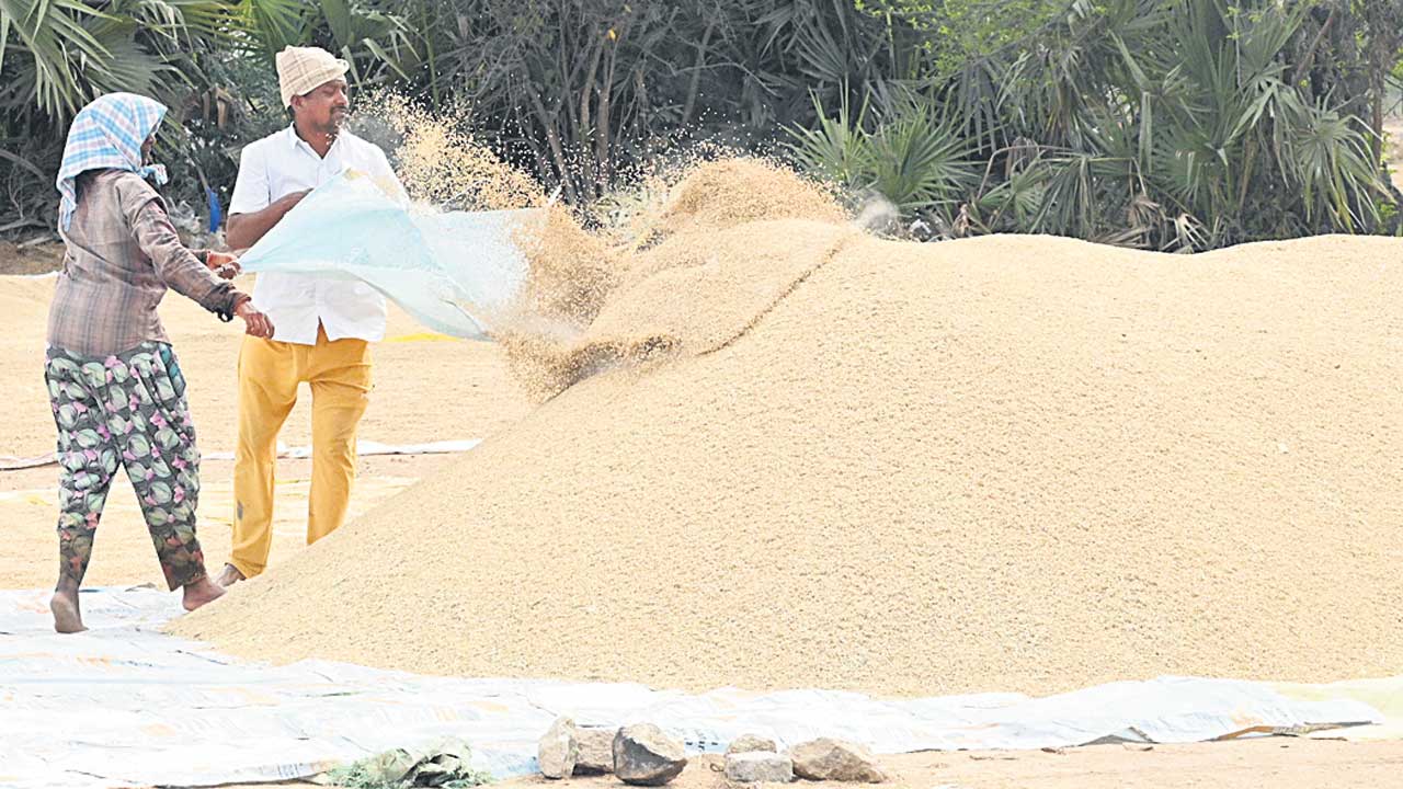 సన్నాల రైతులకు.. సున్నం