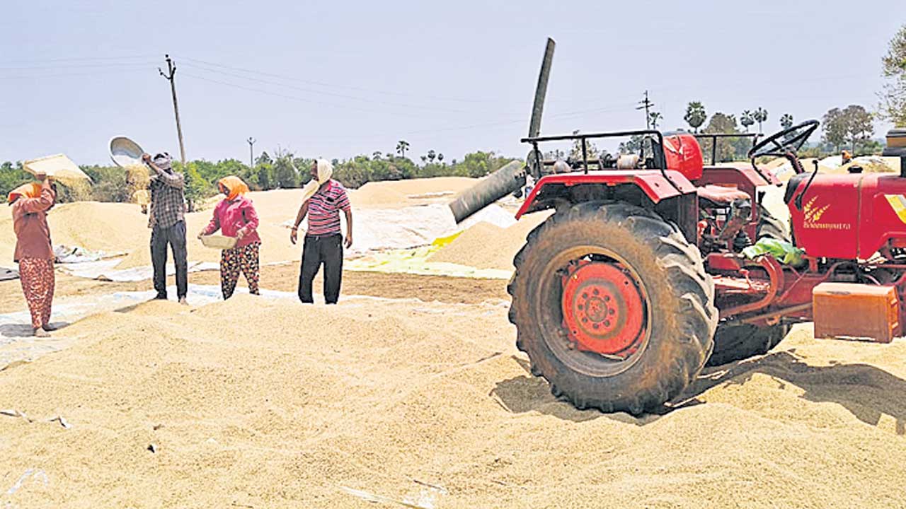 తాలు లేకున్నా.. తరుగు తీస్తాం!