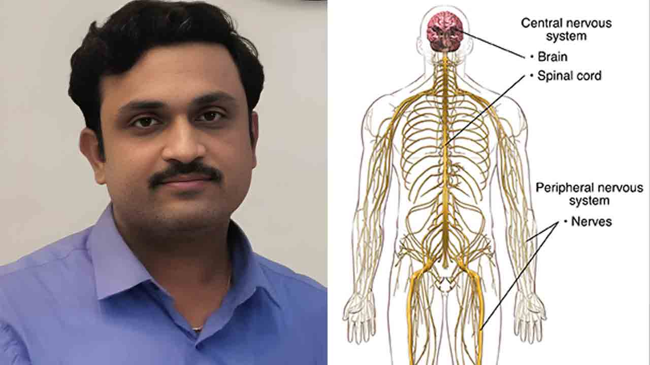 Nervous Weakness | ఆహారంలో ఉప్పు కారం తగ్గిస్తే నరాలపై ఒత్తిడి తగ్గి బలపడతాయి : డాక్టర్ సంతోష్ పేండ్కర్