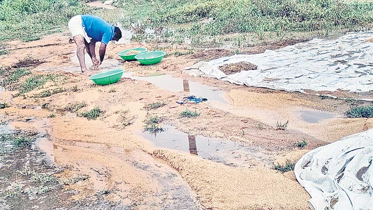 గాలీవాన బీభత్సం రైతుకు ‘అకాల’ దెబ్బ