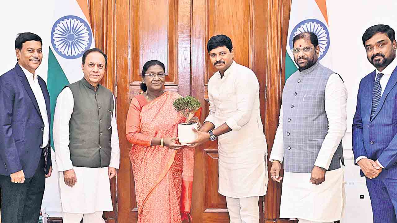 భూమి పచ్చగా ఉంటేనే బతుకు పచ్చగా.. గ్రీన్‌ ఇండియా చాలెంజ్‌ సేవలు భేష్‌!