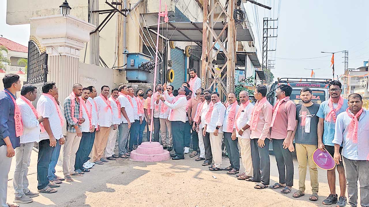 గులాబీ రెపరెపలు