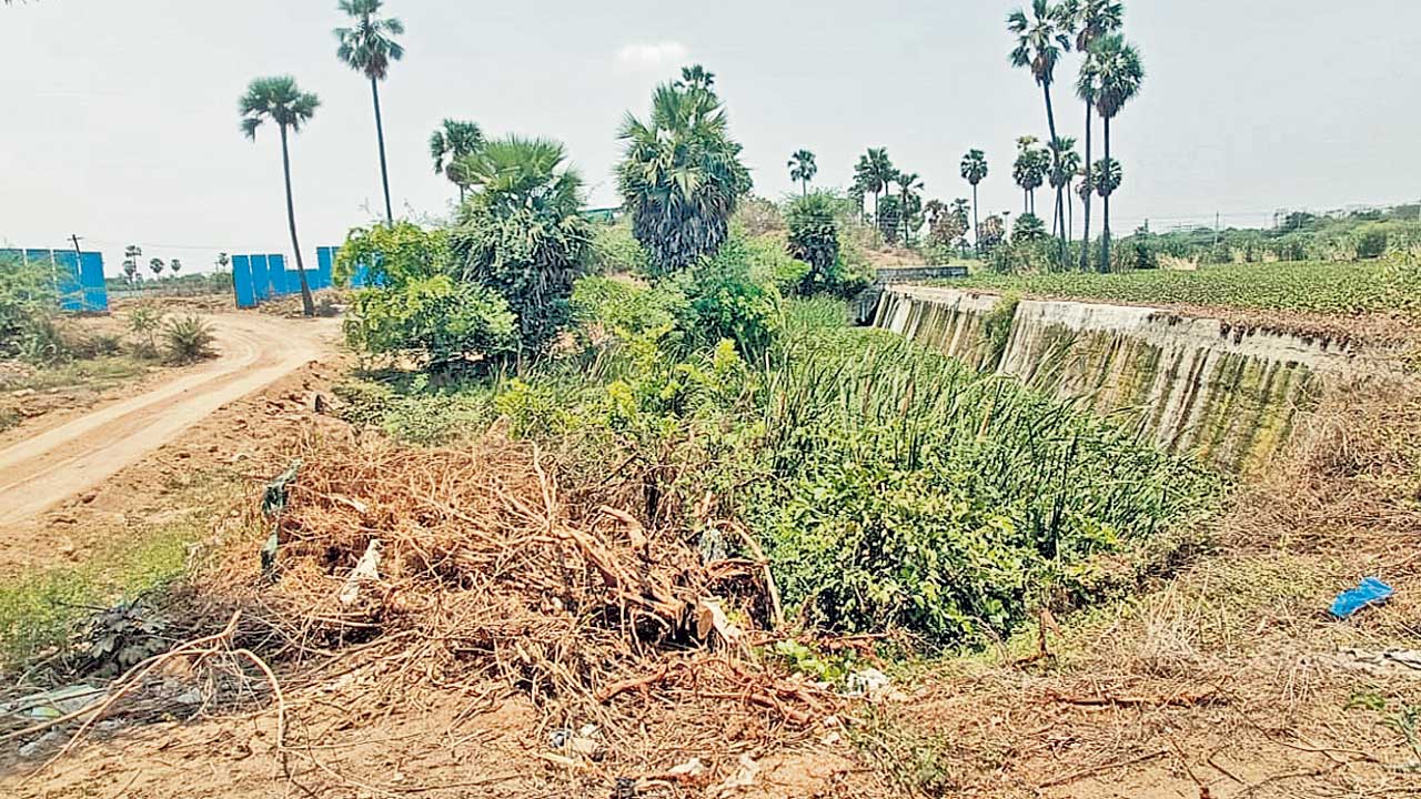 పులిందర్‌ వాగును మట్టితో పూడ్చి.. దర్జాగా రోడ్డేసి..