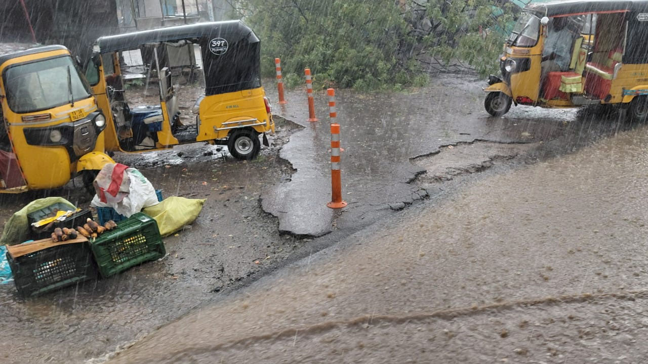 Heavy Rains | కామారెడ్డి జిల్లాలో భారీ వర్షం.. బస్టాండ్‌ వద్ద విరిగిన భారీ వృక్షం