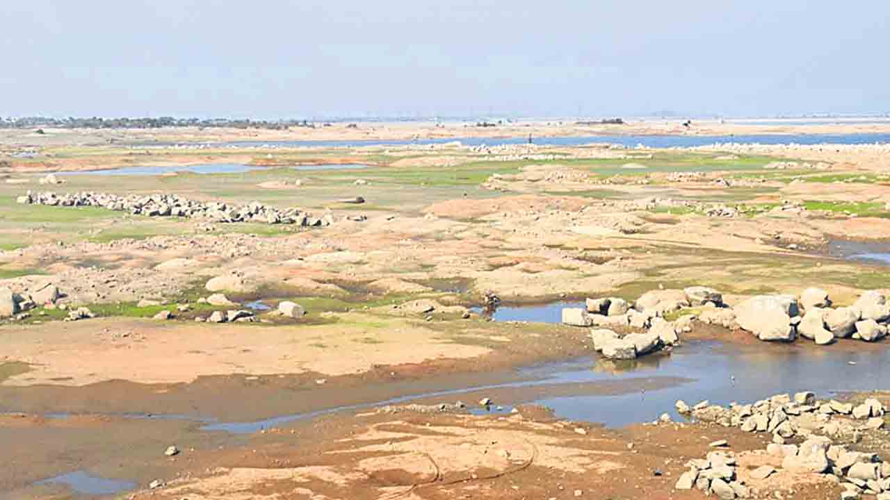 అడుగంటిన ఆశలు