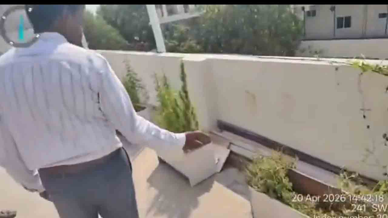 Ganja | సాఫ్ట్‌వేర్ ఉద్యోగం వదిలి ఇంటిపై గంజాయి సాగు.. వీడియో