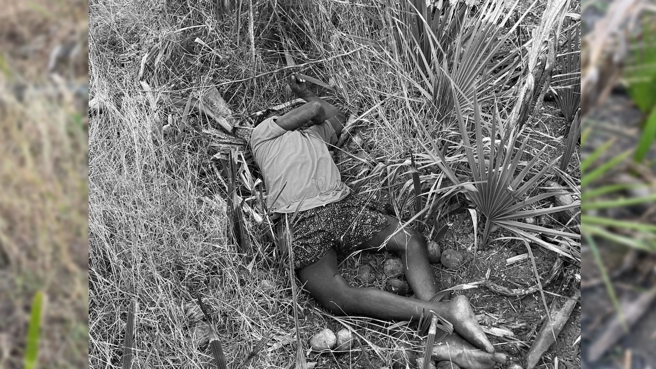 తాటిచెట్టుపై నుంచి పడి గీతకార్మికుడు మృతి