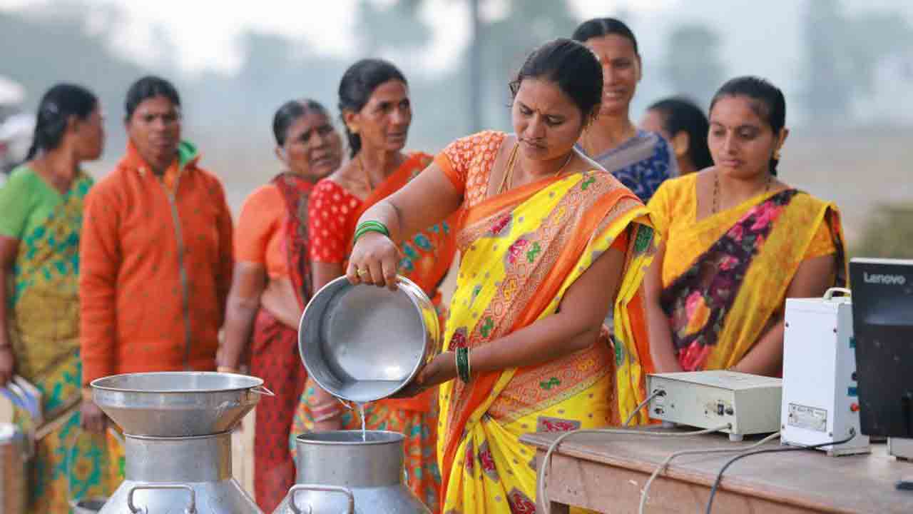 విజయ డెయిరీ దివాళి దిశగా..