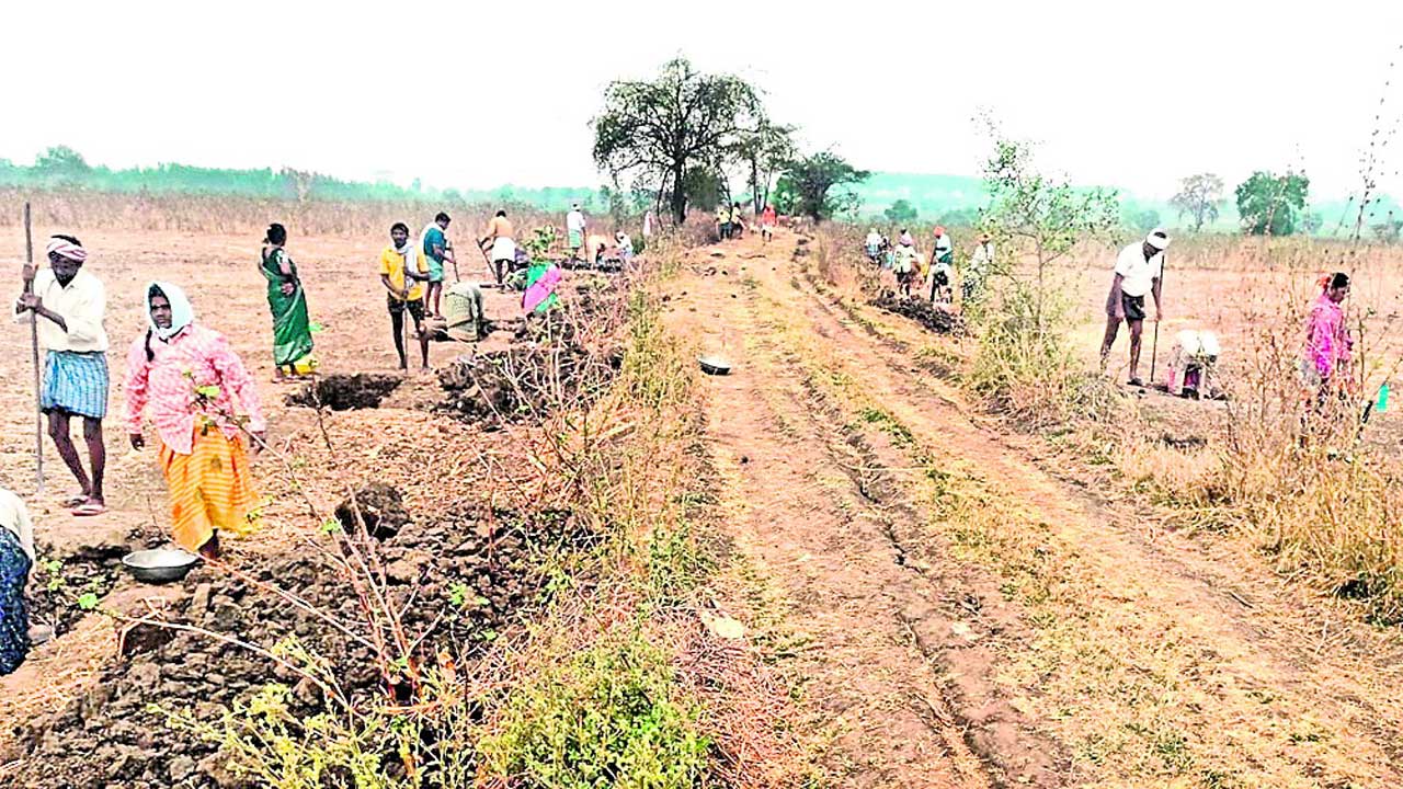 పొలం బాటకు గ్రహణం