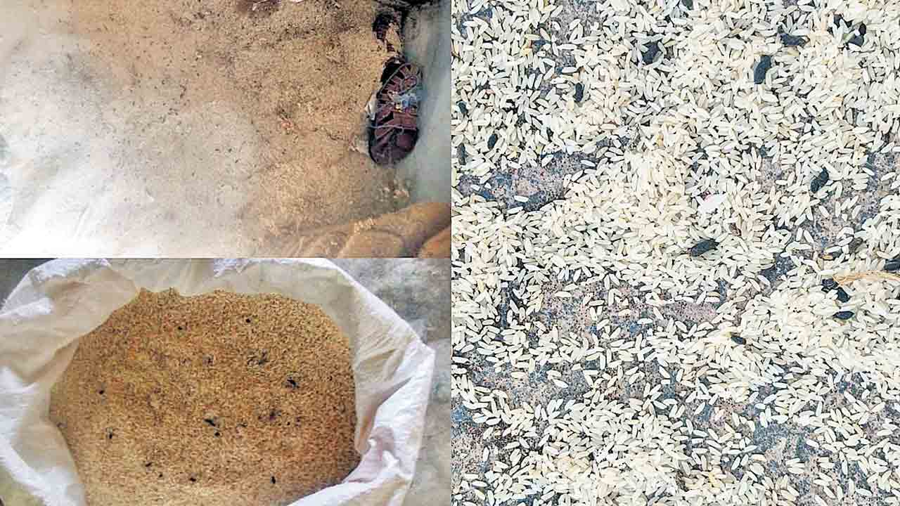 రేషన్‌ బియ్యంతో పరేషాన్‌.. బియ్యంలో తుట్టెలు, పురుగులు, ఎలుక పెంటలు