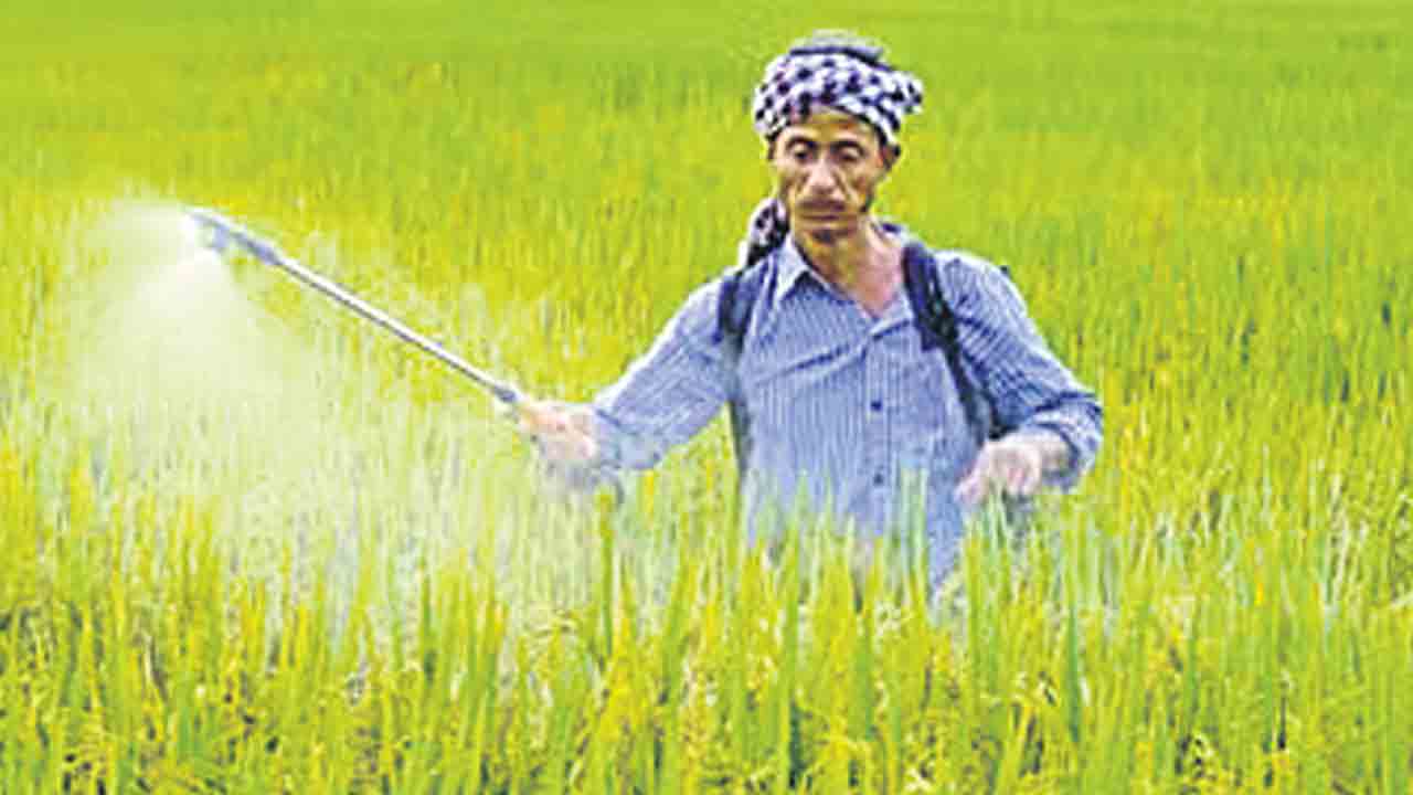 ఈ వానకాలం ఎవుసం కష్టమే!.. పశ్చిమాసియా యుద్ధంతో ఎరువులకు కొరత