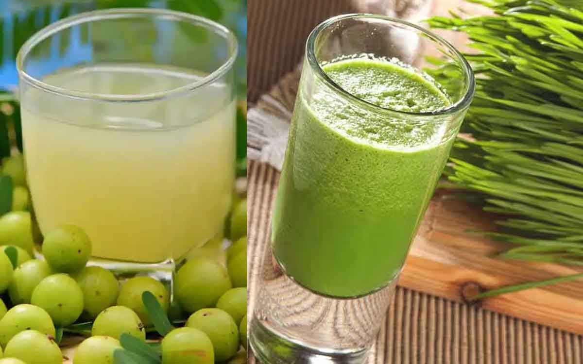 Amla Juice And Wheatgrass Juice | ఉసిరి ర‌సం, గోధుమ గ‌డ్డి ర‌సం.. రెండింట్లో లివ‌ర్ ఆరోగ్యానికి ఏది ఎక్కువ మేలు చేస్తుంది..?