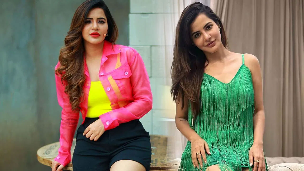 Ashu Reddy | పెళ్లి పేరుతో రూ.9 కోట్ల మోసం .. నటి అషురెడ్డిపై సీసీఎస్ పోలీసులు కేసు నమోదు