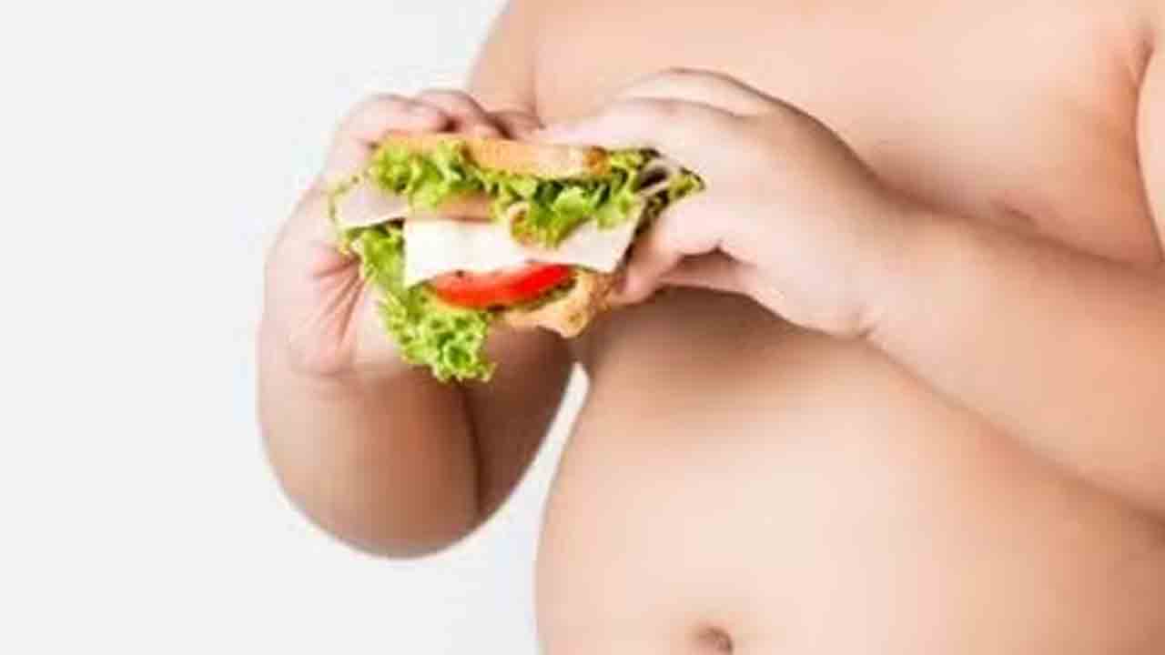 వేయించిన పదార్థాలు వద్దు