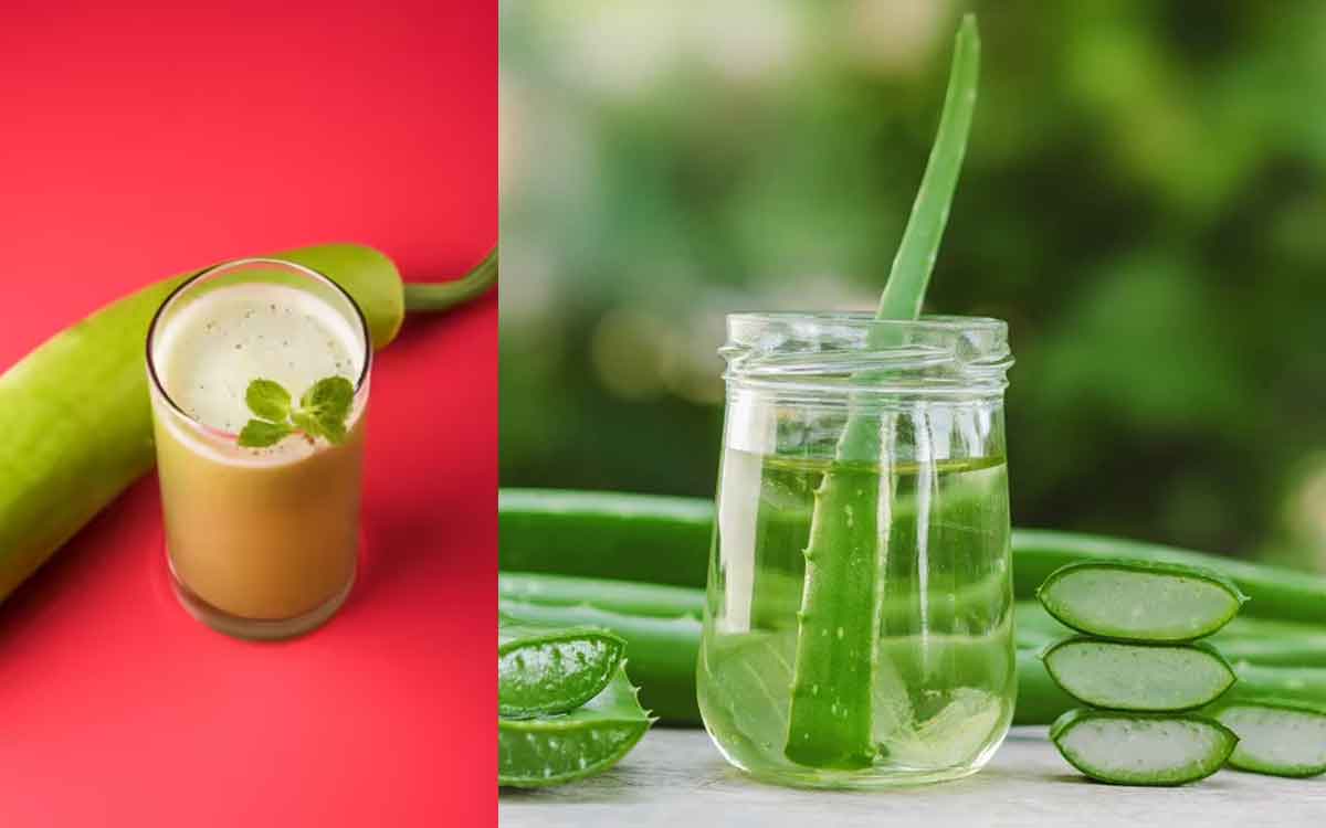 Bottle Gourd Vs Aloe Vera | వేస‌విలో తాగేందుకు ఈ రెండు జ్యూస్‌ల‌లో ఏది బెట‌ర్‌.. దేని వ‌ల్ల ఎక్కువ లాభం ఉంటుంది..?