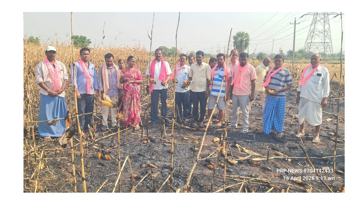  Nawabpet | నవాబ్‌పేటలో విద్యుత్ అధికారుల నిర్లక్ష్యం.. రైతన్నకు రూ.లక్ష నష్టం