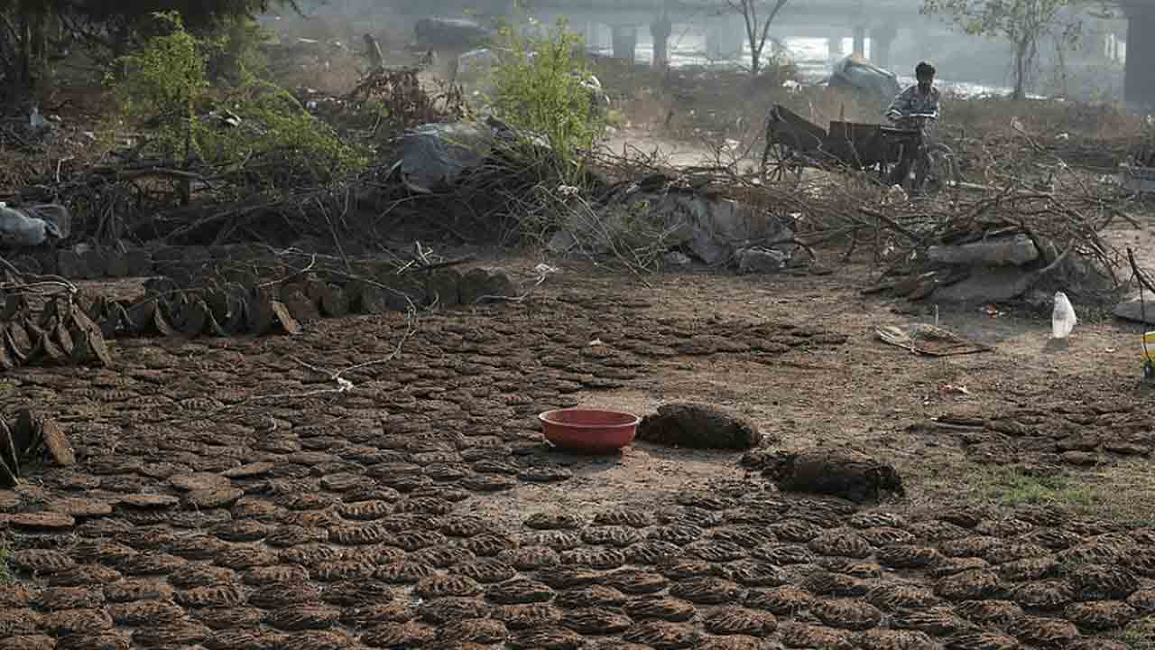 పాక్‌లో పశువుల పేడపై పన్ను!.. ప్రభుత్వంపై విపక్షాల ధ్వజం