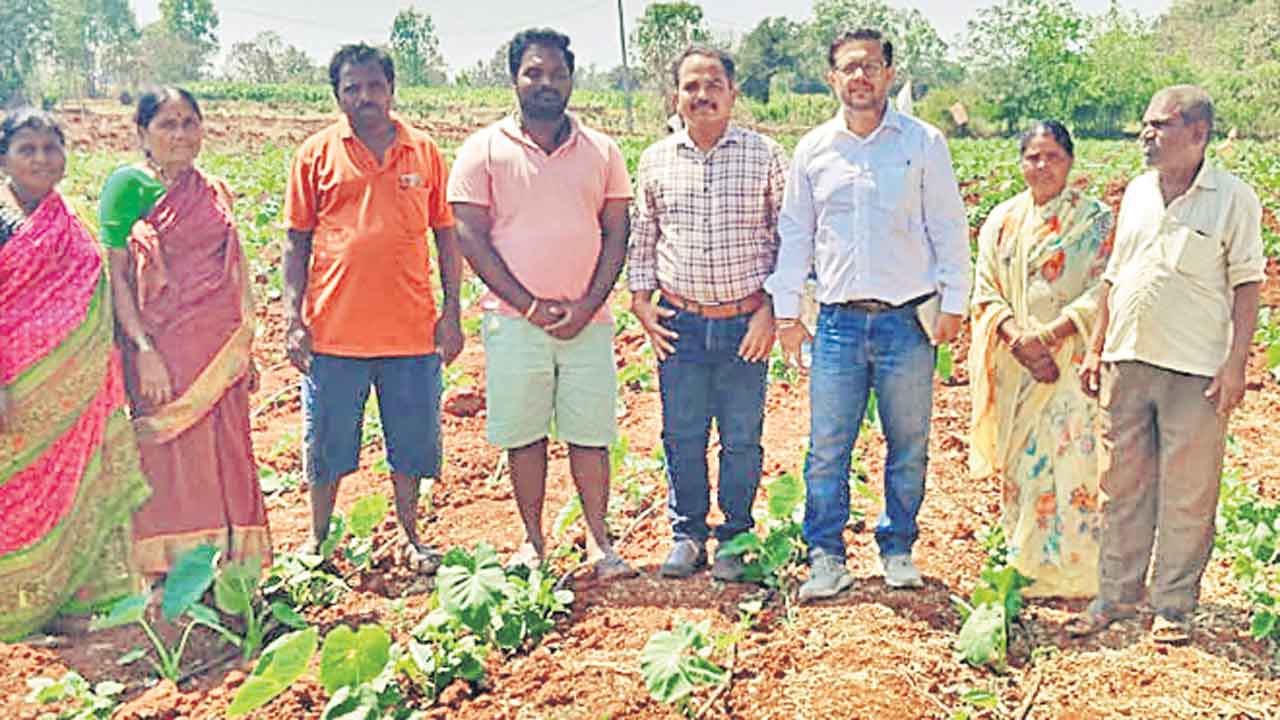 పంటతో పల్లెకు గుర్తింపు