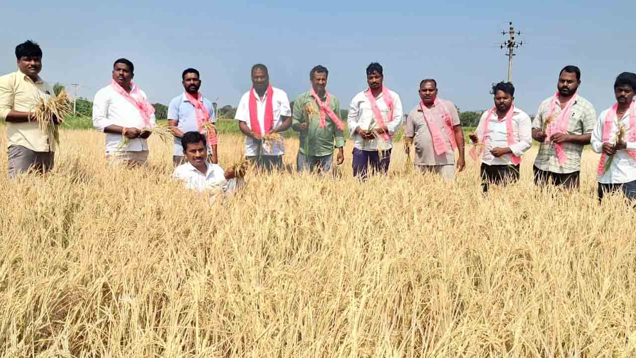 Chigurumamidi | గాగిరెడ్డిపల్లిలో ఎండిన పంటలను పరిశీలించిన బీఆర్ఎస్ నాయకులు