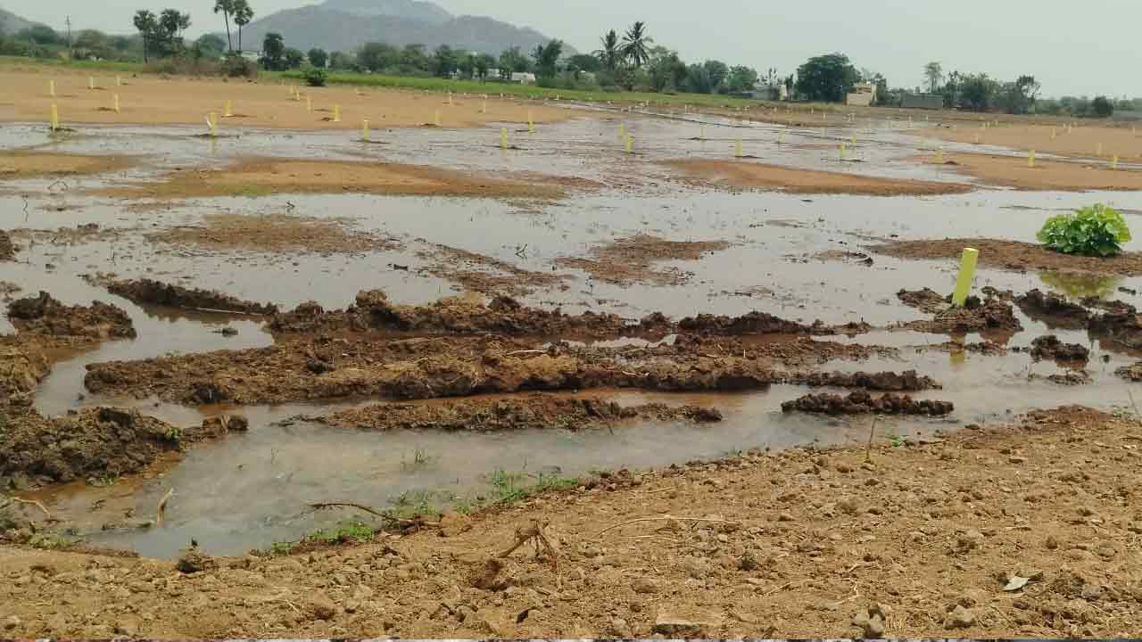Dhantalapalli | వృధాగా పోతున్న భగీరథ నీరు.. పట్టించుకోని అధికారులు