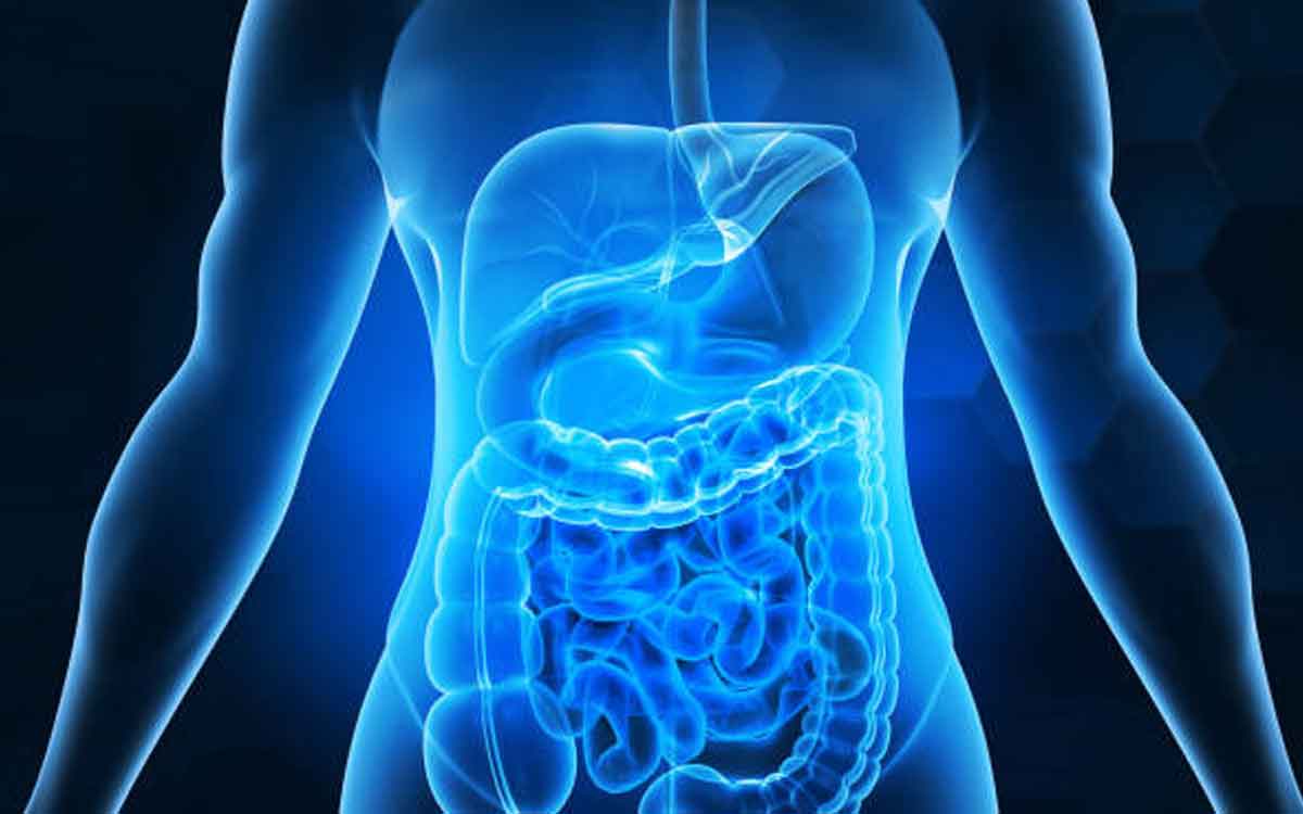 Digestive Health | గ్యాస్, అజీర్తి, మ‌ల‌బ‌ద్ద‌కం వంటి జీర్ణ స‌మ‌స్య‌ల‌ను త‌గ్గించే మిశ్ర‌మం ఇది.. ఎప్పుడు, ఎలా తీసుకోవాలంటే..