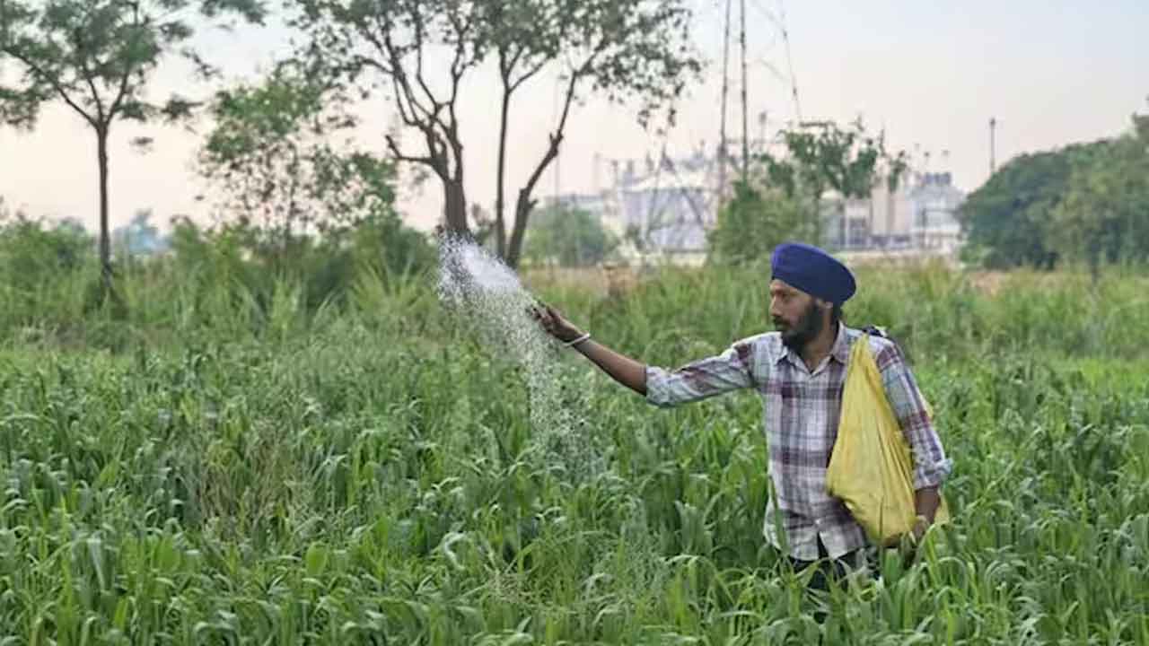 Fertiliser Production: ఇరాన్ వార్ ఎఫెక్ట్‌.. భార‌త్‌లో త‌గ్గిన ఎరువుల ఉత్ప‌త్తి