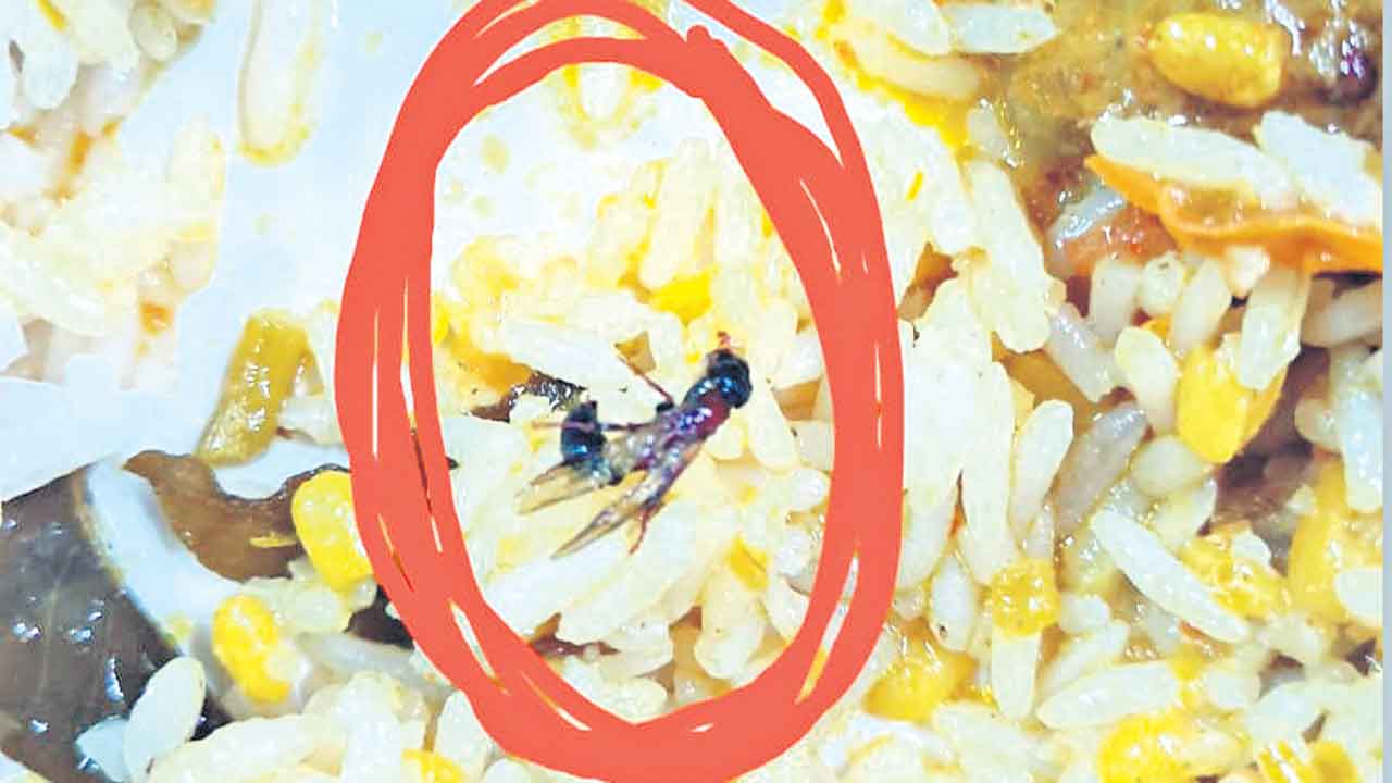 సైఫాబాద్‌ సైన్స్‌ కళాశాల హాస్టల్‌లో సమస్యల తాండవం