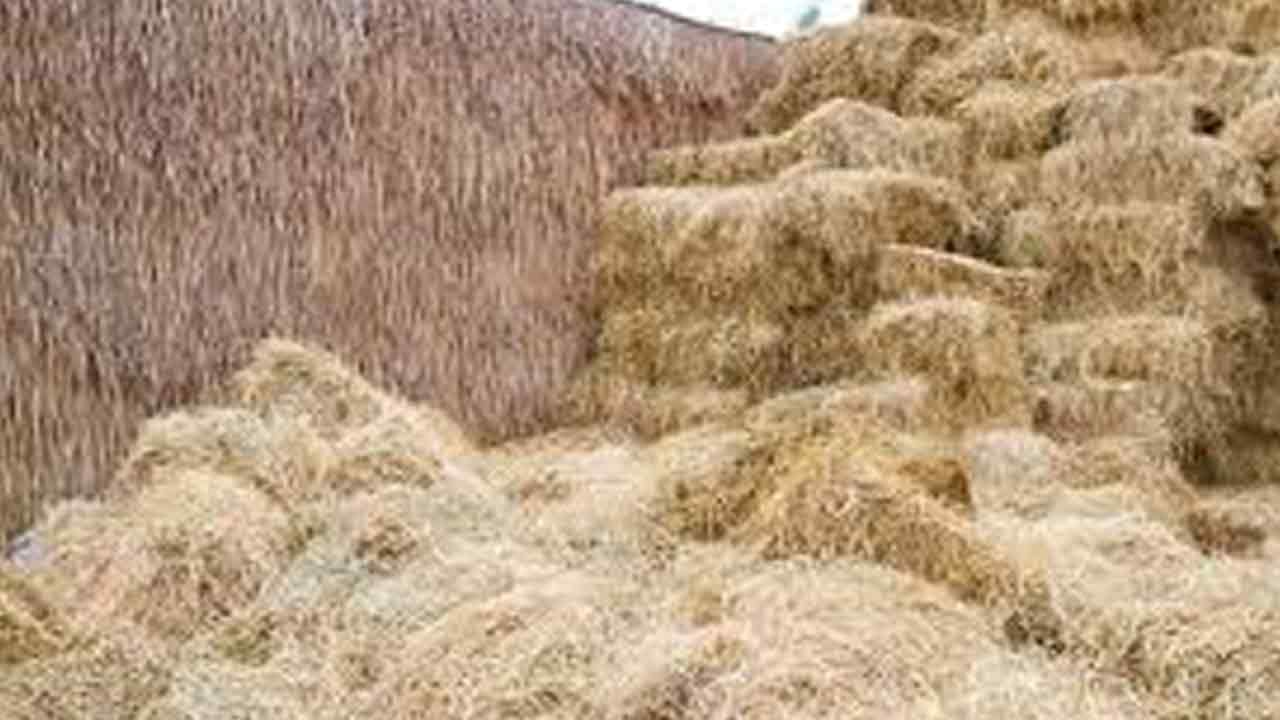 గడ్డివాములకు నిప్పుపెడుతున్న దుండగుడు.. డ్రోన్‌ కెమెరాలతో పట్టుకున్న పోలీసులు