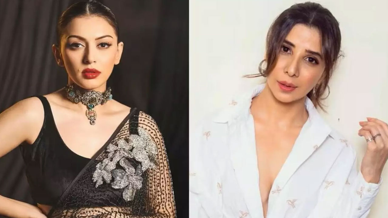 Hansika Motwani | హన్సిక కుటుంబ వివాదం కోర్టుకు.. వదినపై రూ.2 కోట్ల పరువు నష్టం దావా