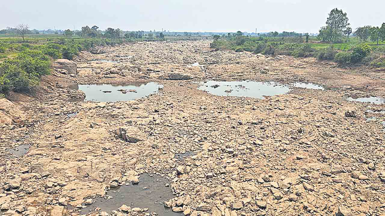 ఎండుతున్న మున్నేరు.. రైతులకు కన్నీరు