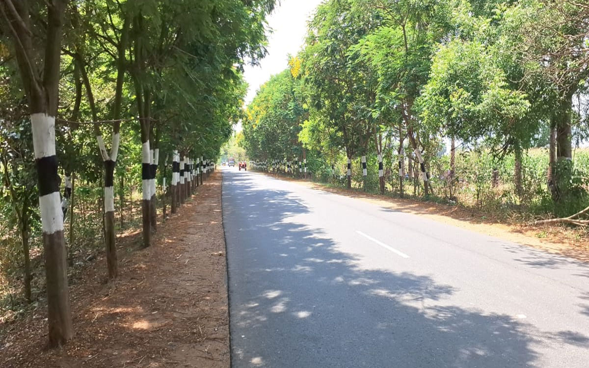 ​జూలూరుపాడు బాటకు 'హరిత' తోరణం