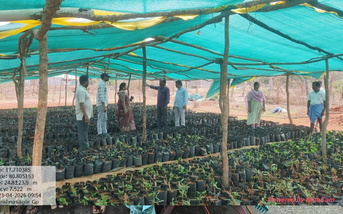 కృష్ణసాగర్‌లో నర్సరీ, ఉపాధి పనుల‌ పరిశీల‌న‌